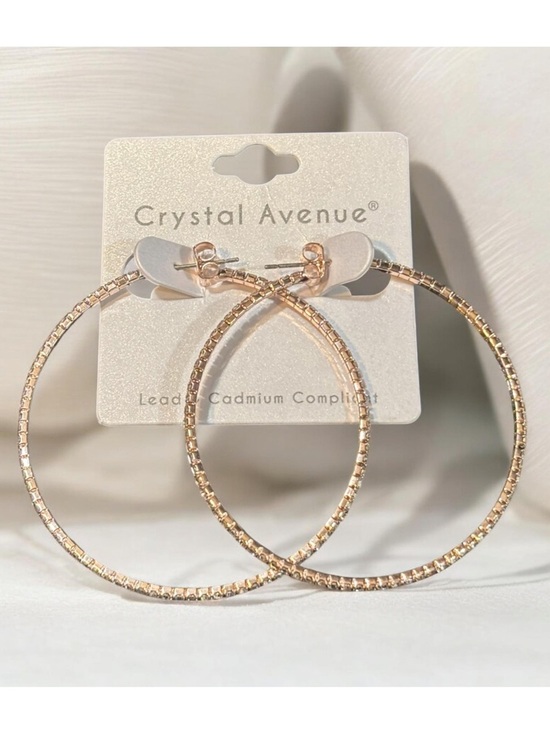 Crystal Avenue Jewelry - Dainty Rose Gold and Rhinestone Hoop Earrings NWT